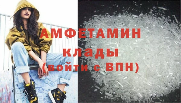 ГАЛЛЮЦИНОГЕННЫЕ ГРИБЫ Богданович