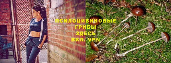 тгк Верхний Тагил